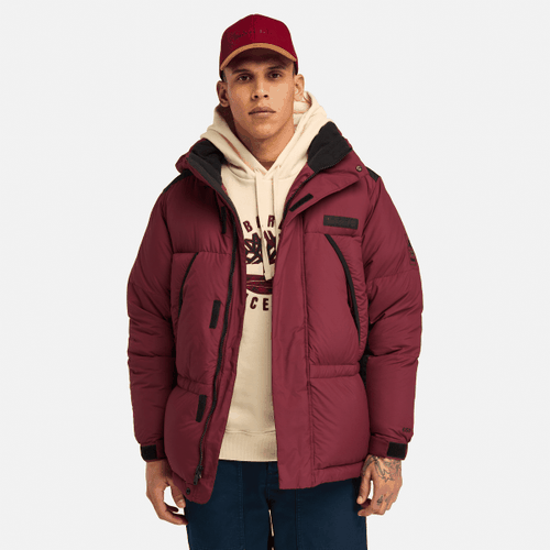 Doudoune Re:Down Howker en rouge, , rouge, Taille: 3XL - Timberland - Modalova