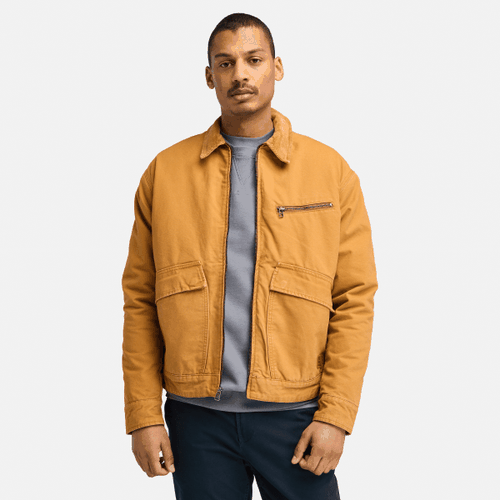 Veste isolante en toile délavée Strafford en jaune, , jaune, Taille: 3XL - Timberland - Modalova