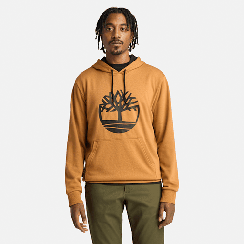 Sweat à capuche à envers bouclé et logo arbre Northwood en jaune, , jaune, Taille: L - Timberland - Modalova