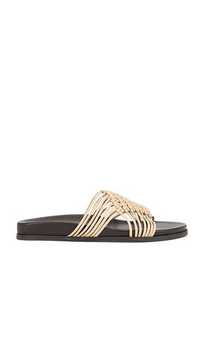 Plait Slides en . Taille 8. Also en 9, 10 - Jeffrey Campbell - Modalova