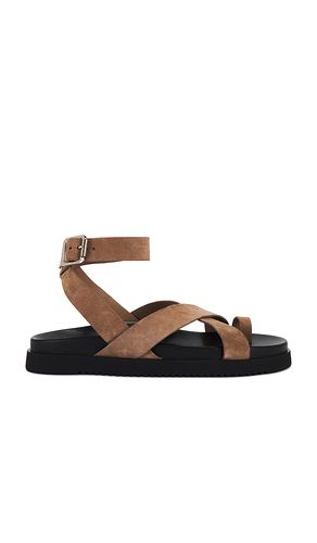 SANDALES MIRA en . Taille 10. Also en 7.5, 8, 8.5 - Steve Madden - Modalova