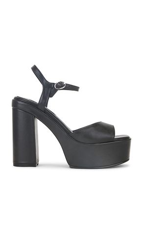 ESCARPINS ODINA en . Taille 7.5. Also en 8.5, 9.5, 10 - Steve Madden - Modalova