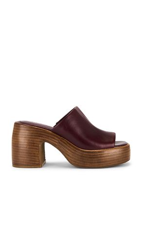 SANDALES SHANTON en . Taille 10. Also en 7.5, 8, 9.5 - Steve Madden - Modalova