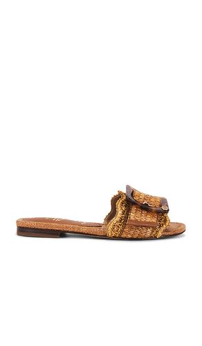SANDALES BAMBI en . Taille 6. Also en 6.5, 7, 7.5, 8, 8.5, 9.5, 5, 5.5 - Sam Edelman - Modalova