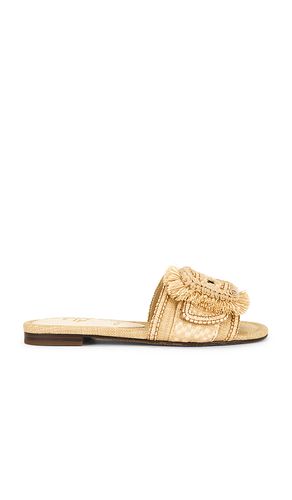 SANDALES BAMBI PLAYA en . Taille 6. Also en 6.5, 7, 7.5, 9, 9.5 - Sam Edelman - Modalova