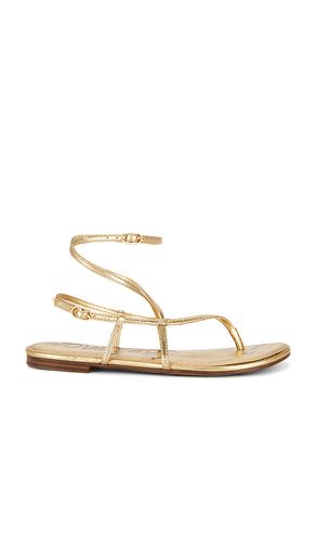 SANDALES CLARRA en . Taille 6. Also en 6.5, 7, 7.5, 8, 8.5, 9, 9.5, 10 - Sam Edelman - Modalova