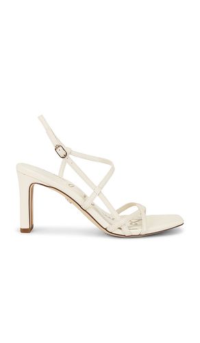 SANDALES ELISSA en . Taille 6.5. Also en 7, 7.5, 8, 8.5, 9, 9.5, 10 - Sam Edelman - Modalova