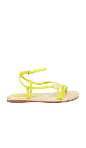 SANDALES RILLIE en . Taille 6. Also en 6.5, 7, 7.5, 8, 8.5, 9, 9.5, 10 - Sam Edelman - Modalova