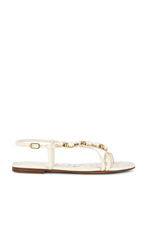 SANDALES CALLA en . Taille 6. Also en 6.5, 7, 7.5, 8, 8.5, 9, 9.5 - Sam Edelman - Modalova