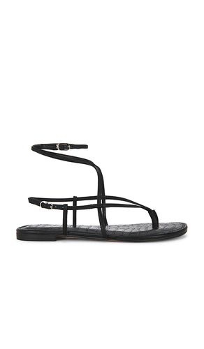 SANDALES CLARRA en . Taille 6. Also en 6.5, 7, 7.5, 8, 8.5, 9, 9.5, 10 - Sam Edelman - Modalova