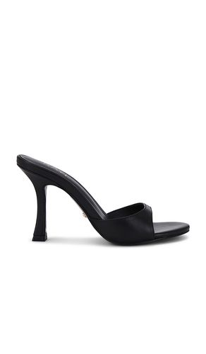 ESCARPINS ALEJANDRA en . Taille 5.5. Also en - RAYE - Modalova