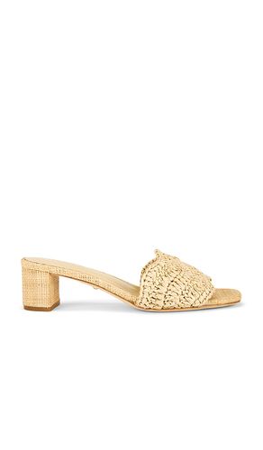 SANDALES RAJESH en . Taille 5.5. Also en 6, 6.5, 7, 7.5, 8, 8.5, 9, 9.5, 10 - RAYE - Modalova