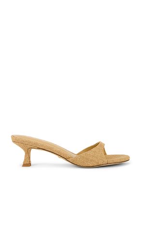 ESCARPINS ASTRID en . Taille 5.5. Also en 6, 6.5 - RAYE - Modalova