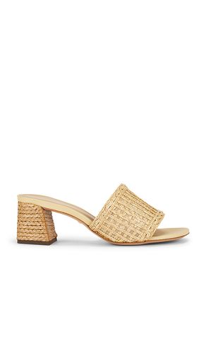 SANDALES SELENE en . Taille 5.5. Also en 6, 6.5, 7, 7.5, 8, 8.5, 9, 9.5, 10.5 - RAYE - Modalova