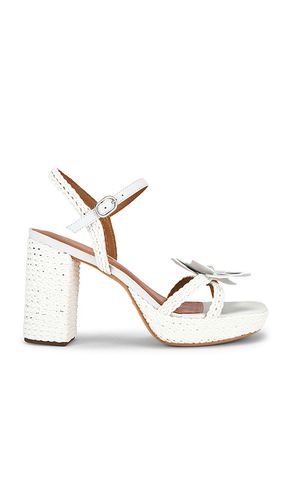 SANDALES SOLIA en . Taille 5. Also en 5.5, 6, 6.5, 7, 7.5, 8, 8.5, 9, 9.5, 10, 10.5 - RAYE - Modalova
