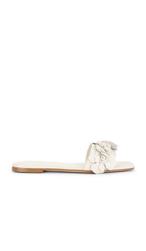 SANDALES IRIS en . Taille 5.5. Also en 6, 6.5, 7, 7.5, 8, 8.5, 9, 10 - RAYE - Modalova