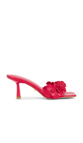 SANDALES HANA en . Taille 5.5. Also en 7, 8, 9 - RAYE - Modalova