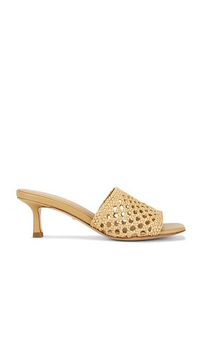 SANDALES SAMIRA en . Taille 10. Also en 5.5, 6.5, 7, 7.5, 8, 9, 9.5 - RAYE - Modalova