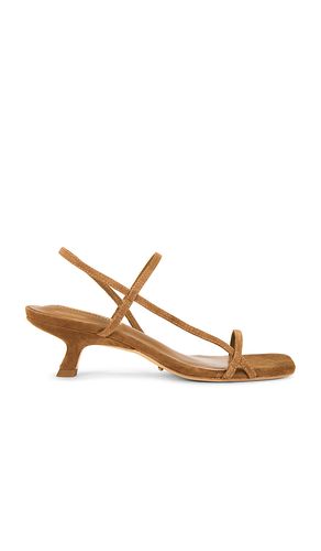 ESCARPINS TIFFANY en . Taille 10. Also en 5, 5.5, 6, 6.5, 7, 7.5, 8, 8.5, 9, 9.5 - Tony Bianco - Modalova