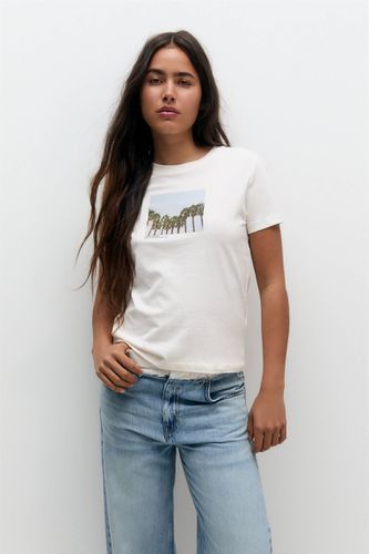 T-Shirt Imprimé Photo - Pull&Bear - Modalova