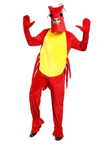 déguisement pyjama pour enfant de Dragon hiver automne en flanelle en  flanelle Déguisements Halloween 