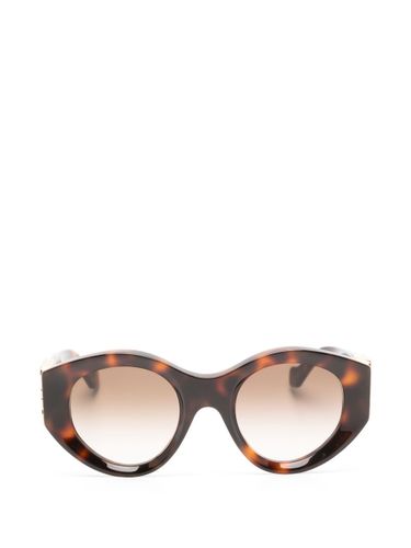 Loewe Butterfly Maxi Sunglasses - Loewe - Modalova