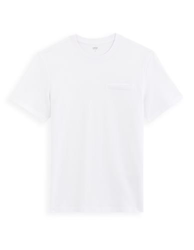 T-shirt col rond en coton - blanc - camaieu - Modalova