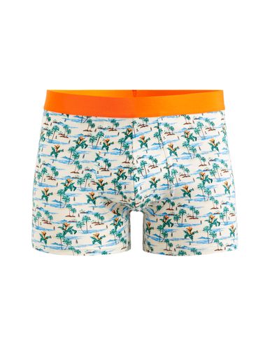 Boxer coton stretch motifs paysages tropicaux - camaieu - Modalova