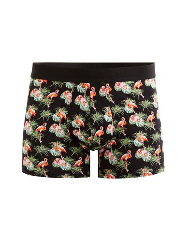 Boxer en coton stretch motifs flamants roses - camaieu - Modalova