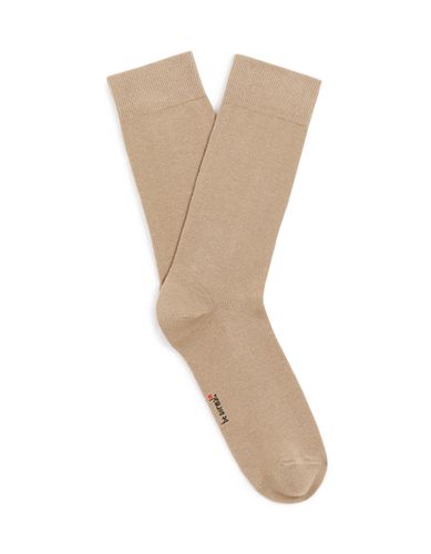 Chaussettes hautes coton - taupe - camaieu - Modalova