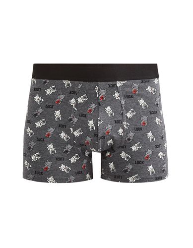 Boxer en coton stretch - anthracite - camaieu - Modalova