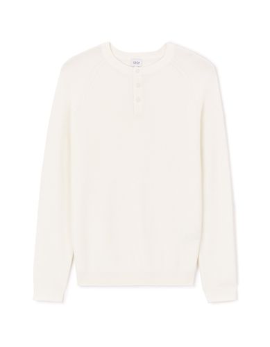 Pull col rond 100% coton - beige - camaieu - Modalova