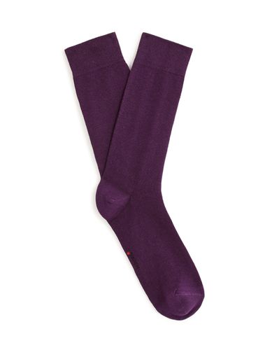 Chaussettes hautes coton - violet - camaieu - Modalova