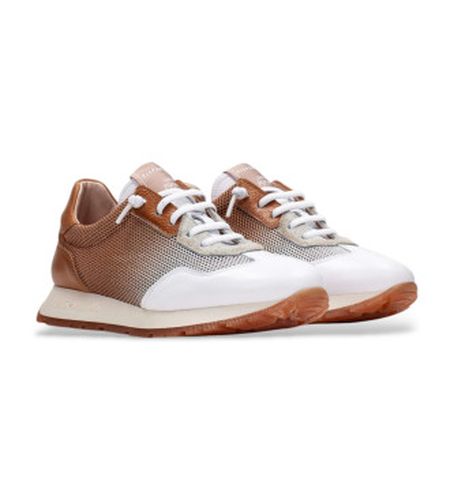 BHV253869 Baskets Kansas (36), Cuir, Marron, 3 à 5 cm, Lacets, Casuel - Hispanitas - Modalova