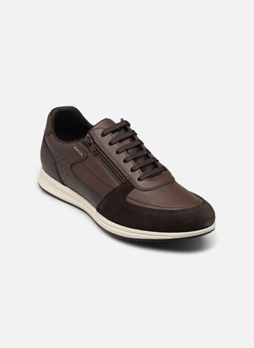 Baskets Geox U AVERY pour - Geox - Modalova