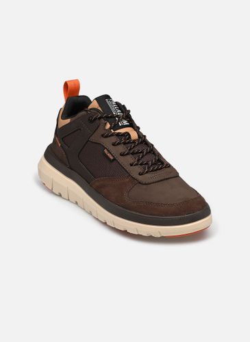Baskets PALLAFLEX LO MIX pour - Palladium - Modalova