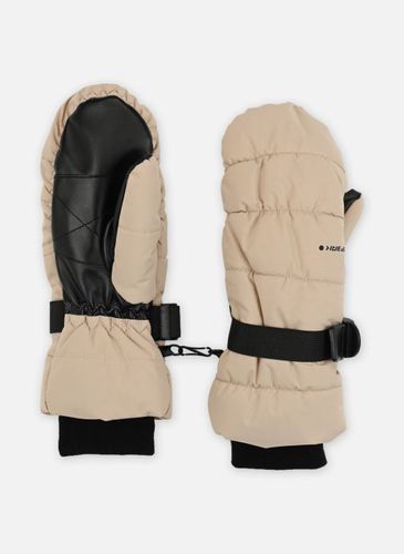 Gants HOYLETON pour Accessoires - Icepeak - Modalova