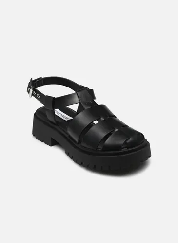 Sandales et nu-pieds Market - Steve Madden - Modalova