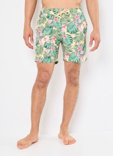 Vêtements BHRADDY Swimwear pour Accessoires - Blend - Modalova