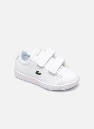 Baskets Carnaby Evo Bl 21 1 Sui pour Enfant - Lacoste - Modalova