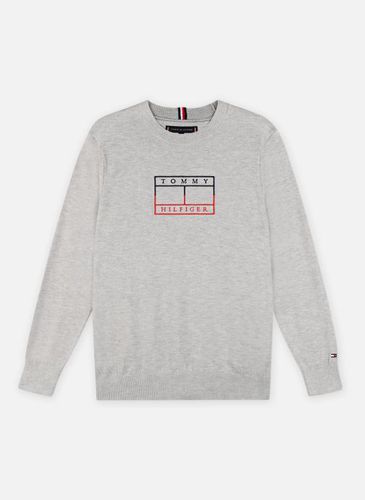 Vêtements Embroidered Flag Sweater pour Accessoires - Tommy Hilfiger - Modalova