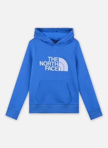 Vêtements Drew Peak PO Hoodie pour Accessoires - The North Face - Modalova