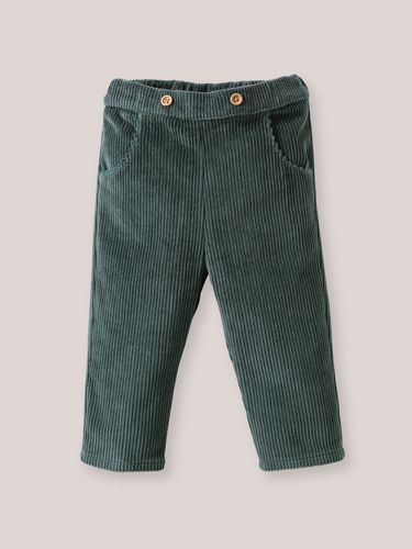 Pantalon en velours grosses côtés Bébé - Cyrillus - Modalova