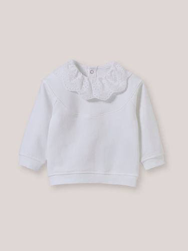 Sweat col en broderie anglaise Bébé - Coton biologique - Cyrillus - Modalova