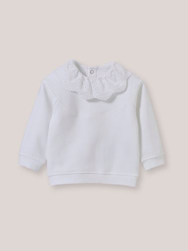 Sweat col en broderie anglaise Bébé - Coton biologique - Cyrillus - Modalova