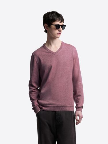 Pull col V en coton bio - Devred - Modalova