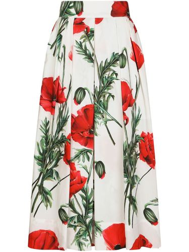 Printed Midi Skirt - Dolce & Gabbana - Modalova