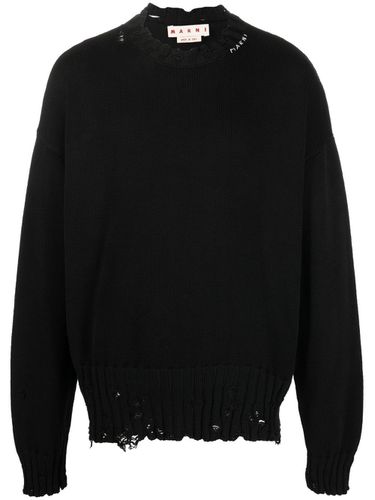 MARNI - Cotton Crewneck Sweater - Marni - Modalova