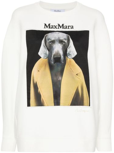 Printed Cotton Sweatshirt - Max Mara - Modalova