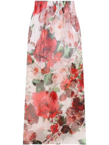 Printed Silk Skirt - Dolce & Gabbana - Modalova